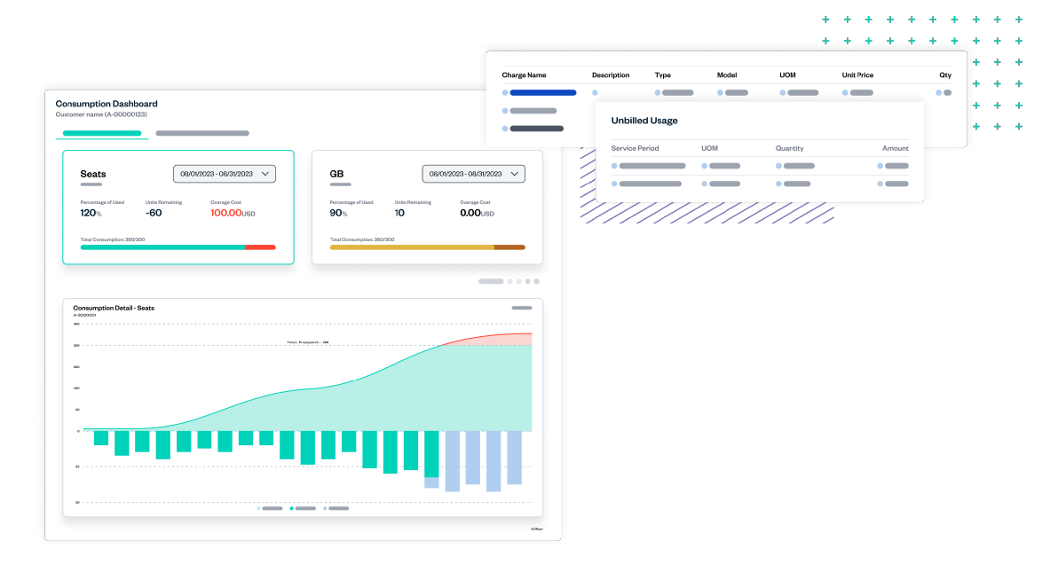 Dashboard displaying consumption data with graphs and tables showing seat usage, bandwidth, and unbilled usage details.